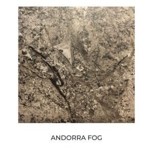 Commodore Cabinet Selections 2020 Andorra Fog