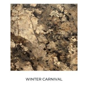 Commodore Cabinet Selections 2020 Winter Carnival